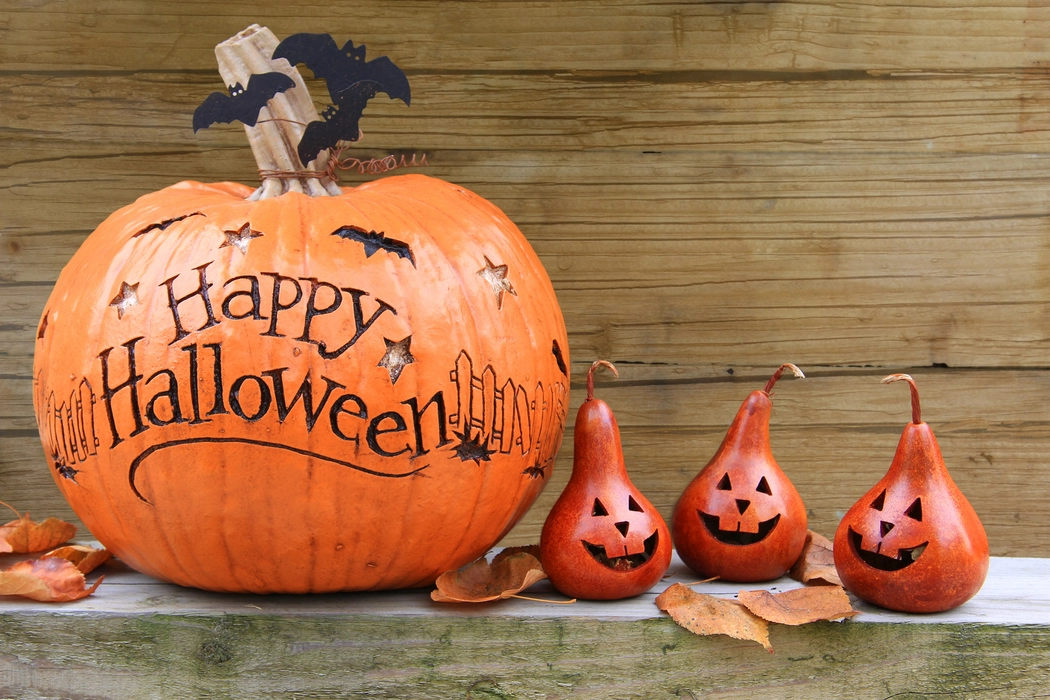 Halloween and Pumpkin Glendoick