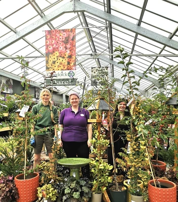 Garden Centre worker | Glendoick Garden Centre, Glencarse, Perth