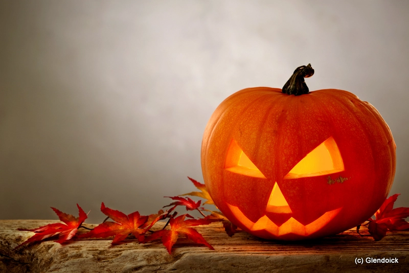 Halloween Woodland Trail 2026 from October 10th