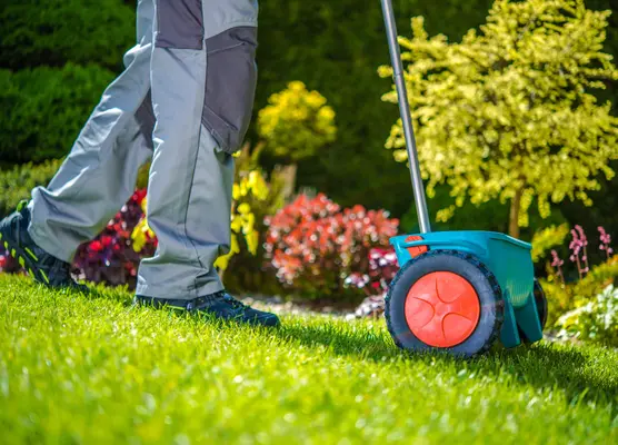 Lawn in September