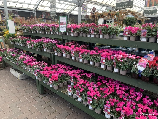 Garden Centre Spring 2024