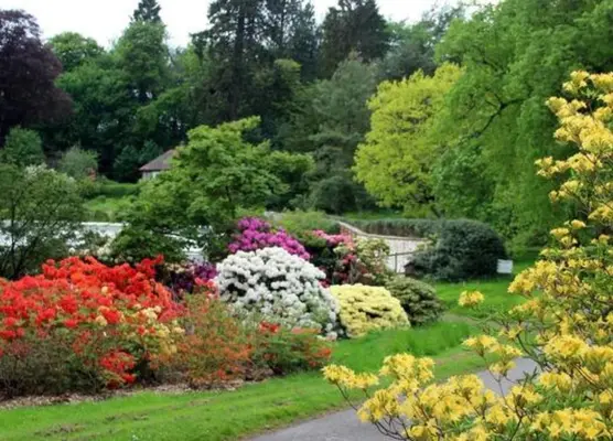 Glendoick Woodland Gardens