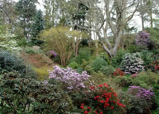 Glendoick Woodland Gardens