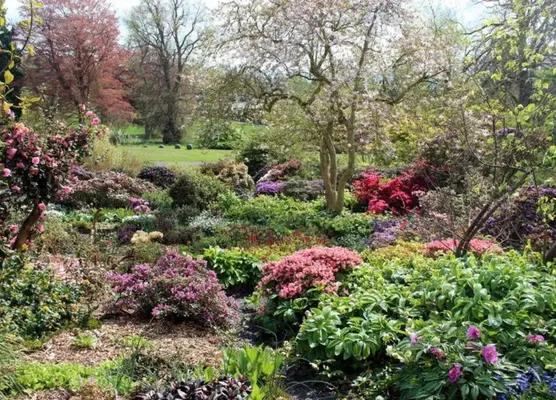 Glendoick Woodland Gardens