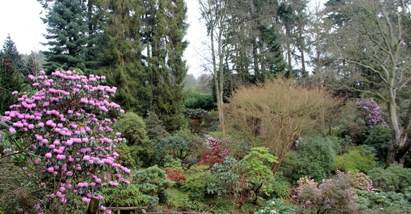 Glendoick Woodland Gardens