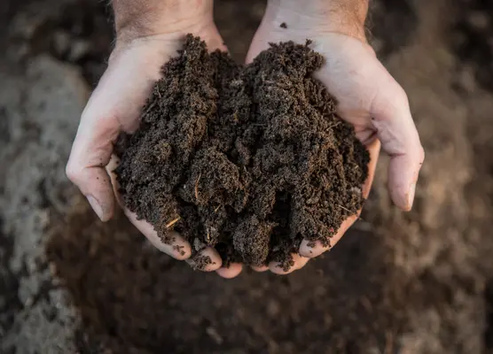 Composts and growing media | Glendoick Garden Centre, Glencarse, Perth