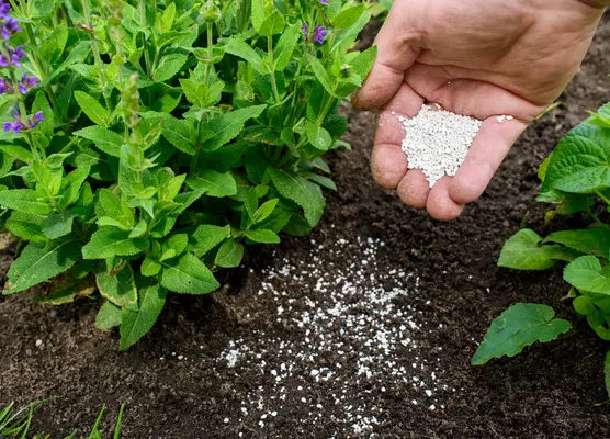 Fertilisers and chemicals | Glendoick Garden Centre, Glencarse, Perth